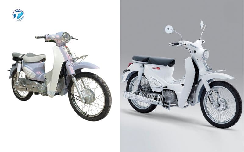 Xe cub đến từ các hãng khác